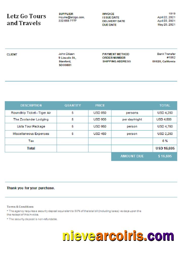 USA Letz Go Tours and Travels invoice